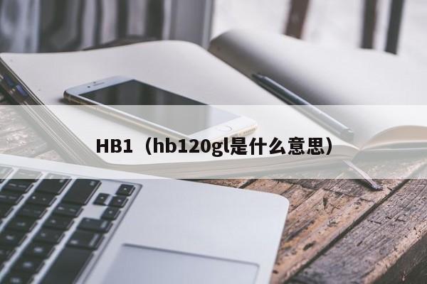 HB1（hb120gl是什么意思）